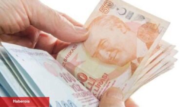 Lokal kalkınmaya 240 milyon TL’lik teşvik - Haberois Lokal kalkınmaya 240 milyon TL’lik teşvik