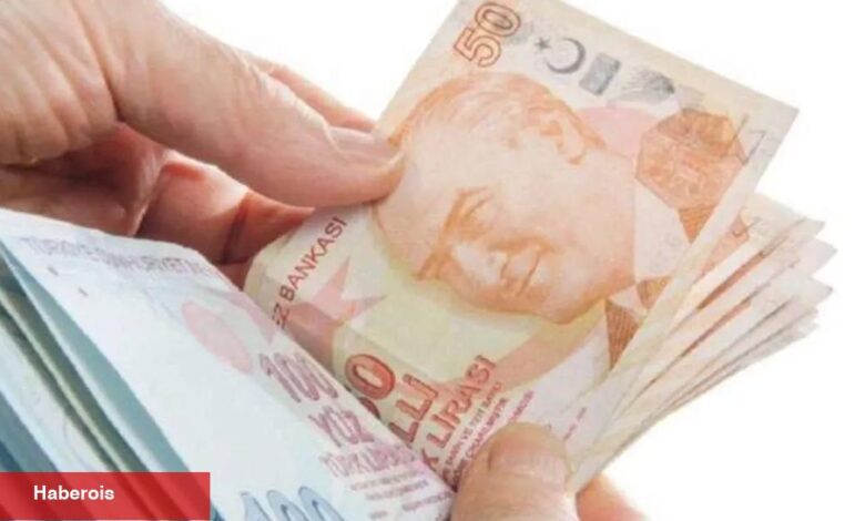 Lokal kalkınmaya 240 milyon TL’lik teşvik