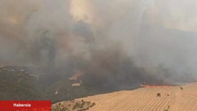 Manisa, Tekirdağ ve Çanakkale’de orman yangınlarına ağır müdahale