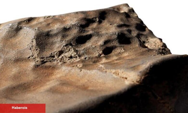 Mars'tan bir modül 5.3 milyon dolara satıldı! - Haberois Mars'tan bir modül 5.3 milyon dolara satıldı!