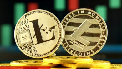 MEI Pharma, hazine varlığı olarak Litecoin’i benimsemek için 100 milyon dolar topladı