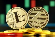 MEI Pharma, Litecoin hazine stratejisi için 100 milyon dolarlık yerleşim kapattı