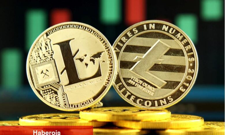 MEI Pharma, Litecoin hazine stratejisi için 100 milyon dolarlık yerleşim kapattı - Haberois MEI Pharma, Litecoin hazine stratejisi için 100 milyon dolarlık yerleşim kapattı