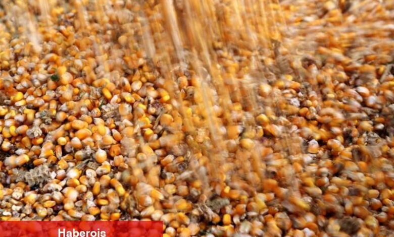 Mısır menşeli granit ithalatına damping tedbiri uygulanacak