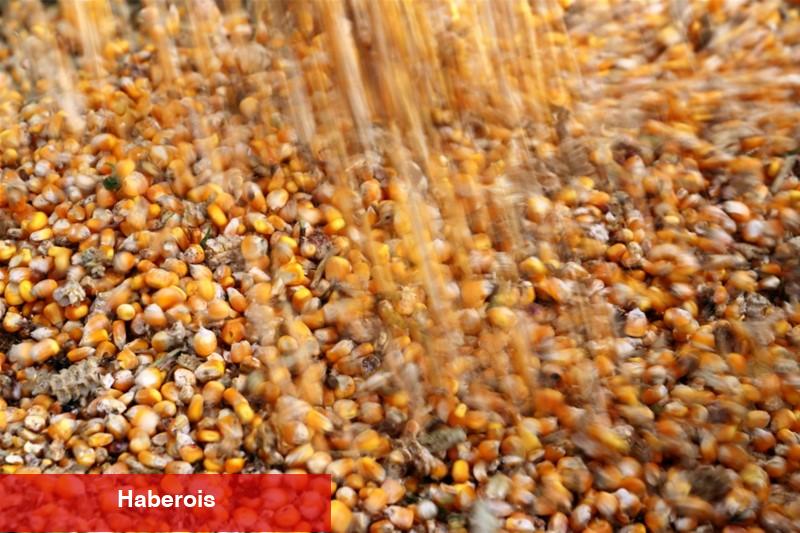 Mısır menşeli granit ithalatına damping tedbiri uygulanacak