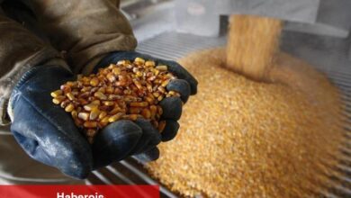 Mısır ve Bahreyn menşeli kimi eserlerin ithalatına yönelik dampinge karşı kesin tedbir uygulanacak
