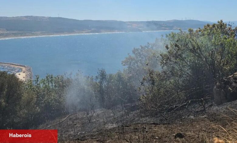 Mudanya kırsalında yangın! Buğday tarlası son anda kurtarıldı