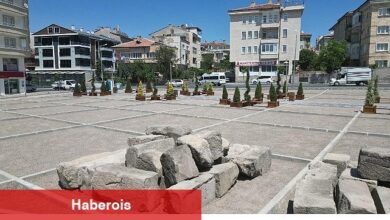 Nevşehir Emek Apadanası: Pers Mimarisine İlişkin Bir Yapı Örneği