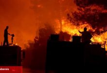OGM'den önlem ve hassaslık daveti
