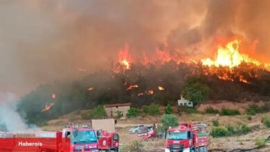 Orman'da 10 acı kayıp! 7 yangın sürüyor! - Haberois Orman'da 10 acı kayıp! 7 yangın sürüyor!