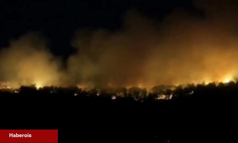 Orman'dan 22 Temmuz raporu: Müdahale edilen 54 yangından 51’i denetim altında
