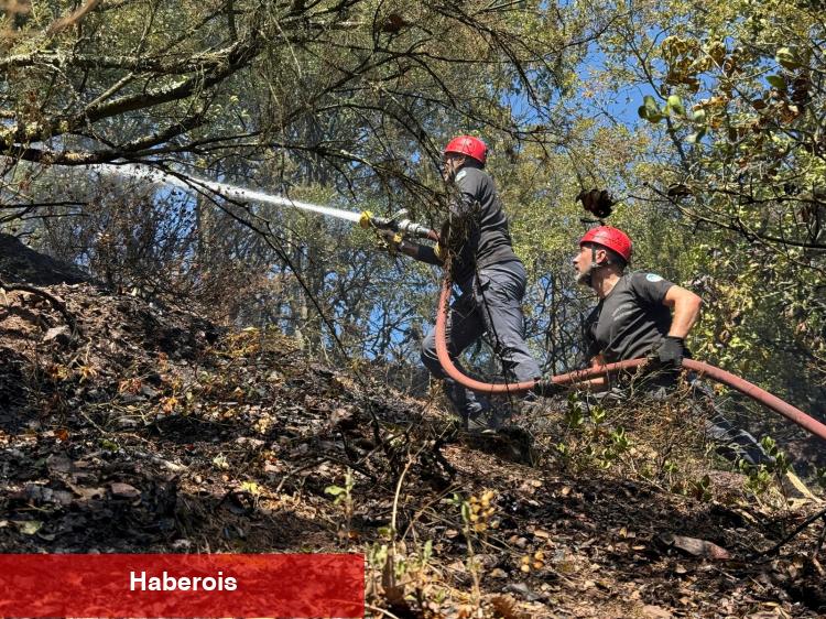 Sakarya Adapazarı'ndaki orman yangını denetim altında