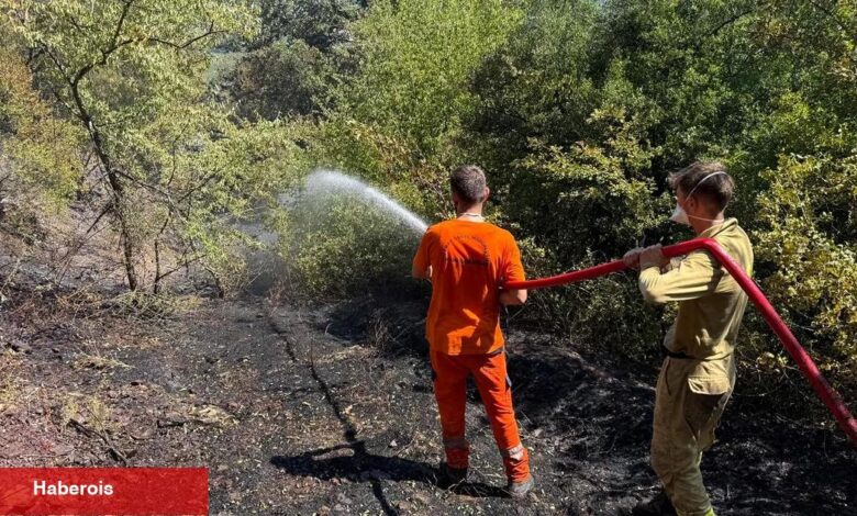 Sakarya Adapazarı'ndaki orman yangını denetim altında - Haberois Sakarya Adapazarı'ndaki orman yangını denetim altında