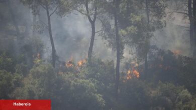 Seferihisar ve Menderes yangınlarının bilançosu ağır
