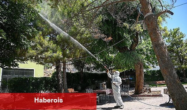 Selçuklu Belediyesi yeşil alan ilaçlamalarını dış mahallelerde de sürdürüyor - Haberois Selçuklu Belediyesi yeşil alan ilaçlamalarını dış mahallelerde de sürdürüyor