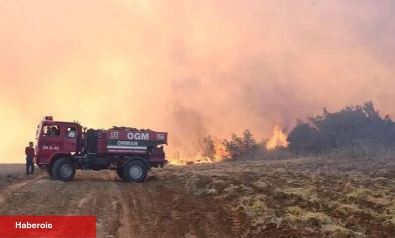 Son 1 haftada 624 orman yangını
