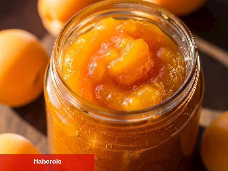 Taze Kayısı Marmelatı Tanımı