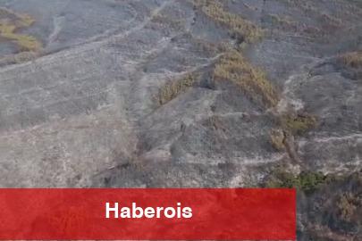 Tekirdağ Şarköy’deki yangın denetim altında
