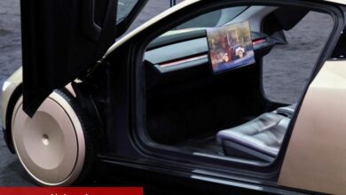 Tesla robotaksi genişlemesi ile yükselişte; Munster ilerlemeyi ’takvimden önce’ olarak kıymetlendirdi