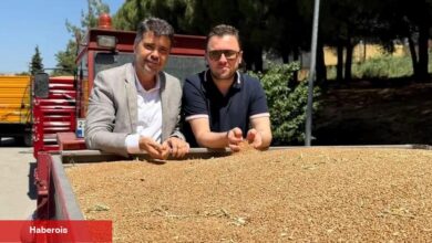 TMO 25 bin ton buğday aldı - Haberois TMO 25 bin ton buğday aldı