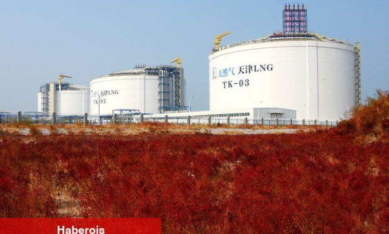 Trump’ın Rusya’ya 50 günlük ültimatomu Avrupa gaz fiyatı tasalarını hafifletti - Haberois Trump’ın Rusya’ya 50 günlük ültimatomu Avrupa gaz fiyatı tasalarını hafifletti