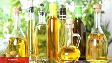 Tüketici ülkelere zeytinyağı ihracatı arttı... İhracatçıların yeni rotası Kanada - Haberois Tüketici ülkelere zeytinyağı ihracatı arttı... İhracatçıların yeni rotası Kanada