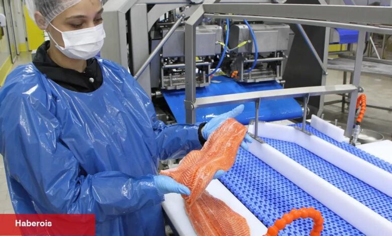 Türk somonu ihracatı rekor kırıyor... 2035 maksadı 1 milyar dolar - Haberois Türk somonu ihracatı rekor kırıyor... 2035 maksadı 1 milyar dolar