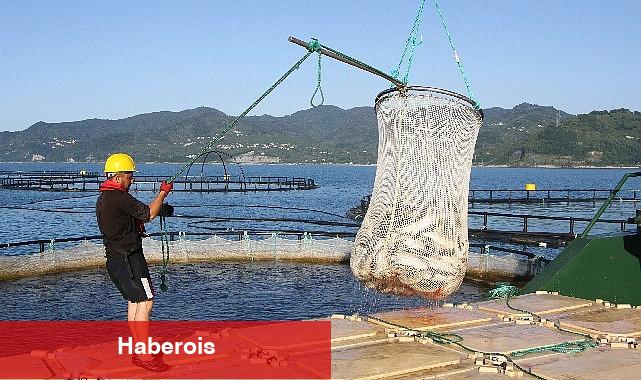 Türk somonunda amaç ihracatı 1 milyar doların üzerine taşımak