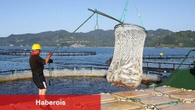 Türk somonunda amaç ihracatı 1 milyar doların üzerine taşımak