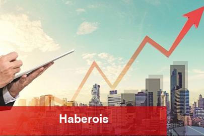 Türkiye’ye yılın birinci 5 ayında 4,7 milyar dolar yatırım