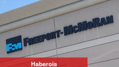 UBS, bakır fiyat riskleri tarife artışını dengelediği için Freeport-McMoRan’ı düşürdü