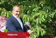 Uçak; "Don kirazı, kiraz ihracatı vurdu"