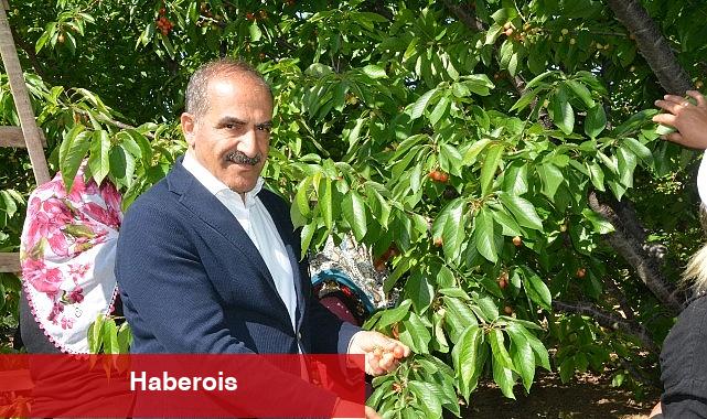 Uçak; "Don kirazı, kiraz ihracatı vurdu" - Haberois Uçak; "Don kirazı, kiraz ihracatı vurdu"