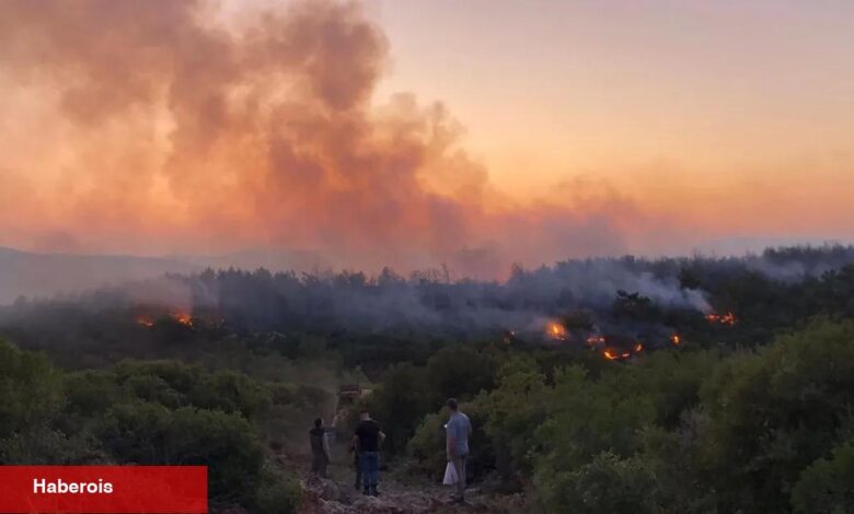 Urla’da yangın denetim altına alındı