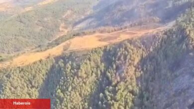 Uşak ve Bilecik’te yangınlar denetim altında... Sakarya Geyve’de çaba sürüyor