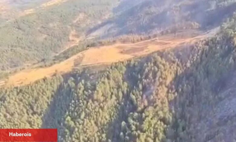 Uşak ve Bilecik’te yangınlar denetim altında... Sakarya Geyve’de çaba sürüyor - Haberois Uşak ve Bilecik’te yangınlar denetim altında... Sakarya Geyve’de çaba sürüyor