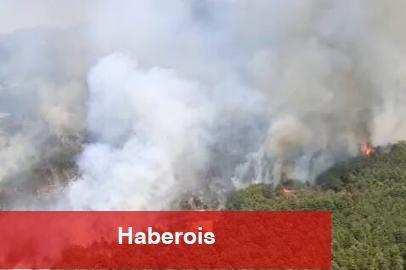 Uşak ve İzmir Bergama’da yangınlara müdahale sürüyor