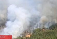 Uşak ve İzmir Bergama’da yangınlara müdahale sürüyor