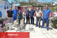 Üsküdar İle Menderes Can Dostlar İçin El Ele