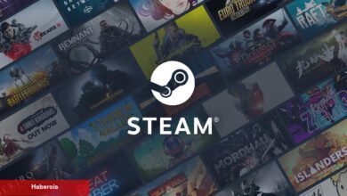 Valve, Güney Kore'nin İsteği İle Bir Modu Steam'den Kaldırdı