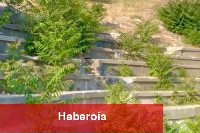 Vize Antik Kenti ilgisizlikle yok oluyor! Tarihi miras için acil çağrı!