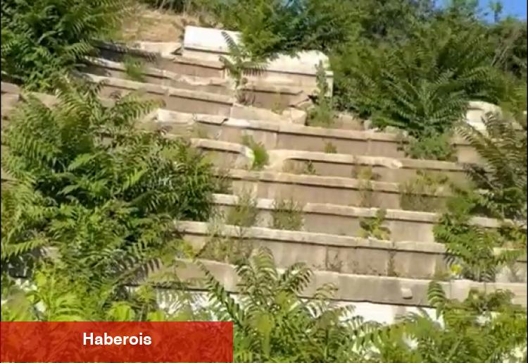 Vize Antik Kenti ilgisizlikle yok oluyor! Tarihi miras için acil çağrı!