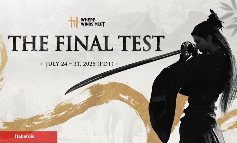 Where Winds Meet'in Son Kapalı Beta Testi Bu Ayın Sonunda Gerçekleştirilecek