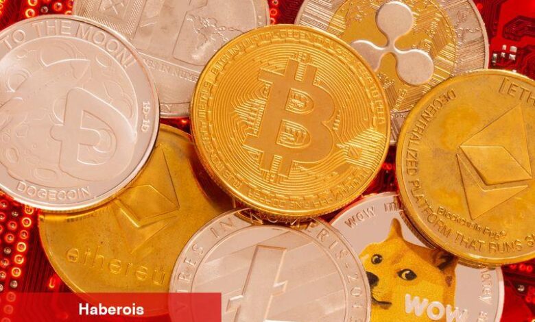Wolfe, altcoinlere geçiş vaktinin geldiğini söylüyor