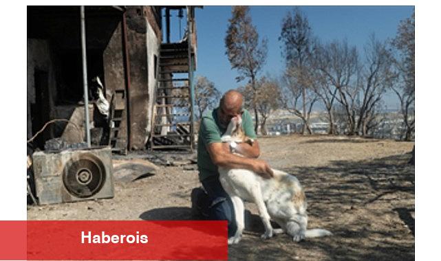 Yangından kurtarılan Kaptan'a sıcak yuva - Haberois Yangından kurtarılan Kaptan'a sıcak yuva