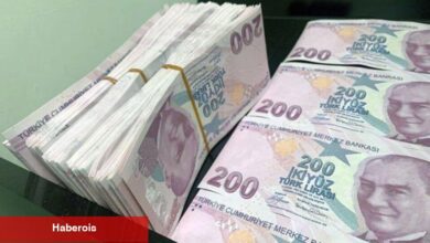 Yatırım fonları ve TL mevduatta stopaj oranı artırıldı
