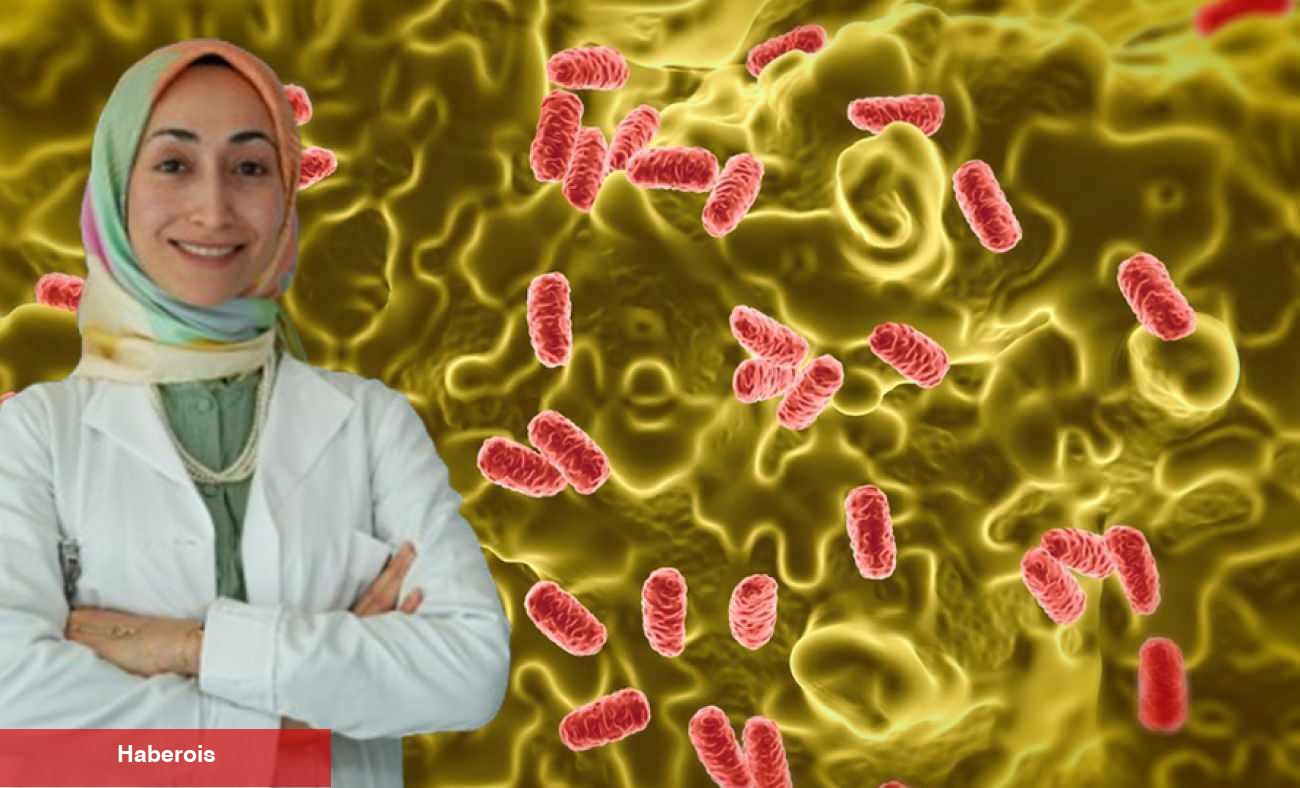 Yaz aylarında besin zehirlenmelerine dikkat: Salmonella sessizce yayılıyor