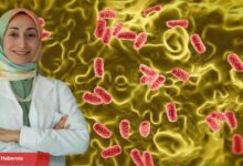 Yaz aylarında besin zehirlenmelerine dikkat: Salmonella sessizce yayılıyor