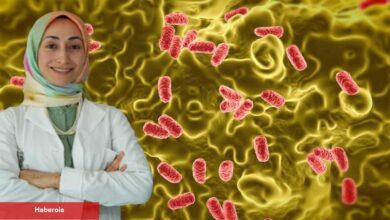 Yaz aylarında besin zehirlenmelerine dikkat: Salmonella sessizce yayılıyor