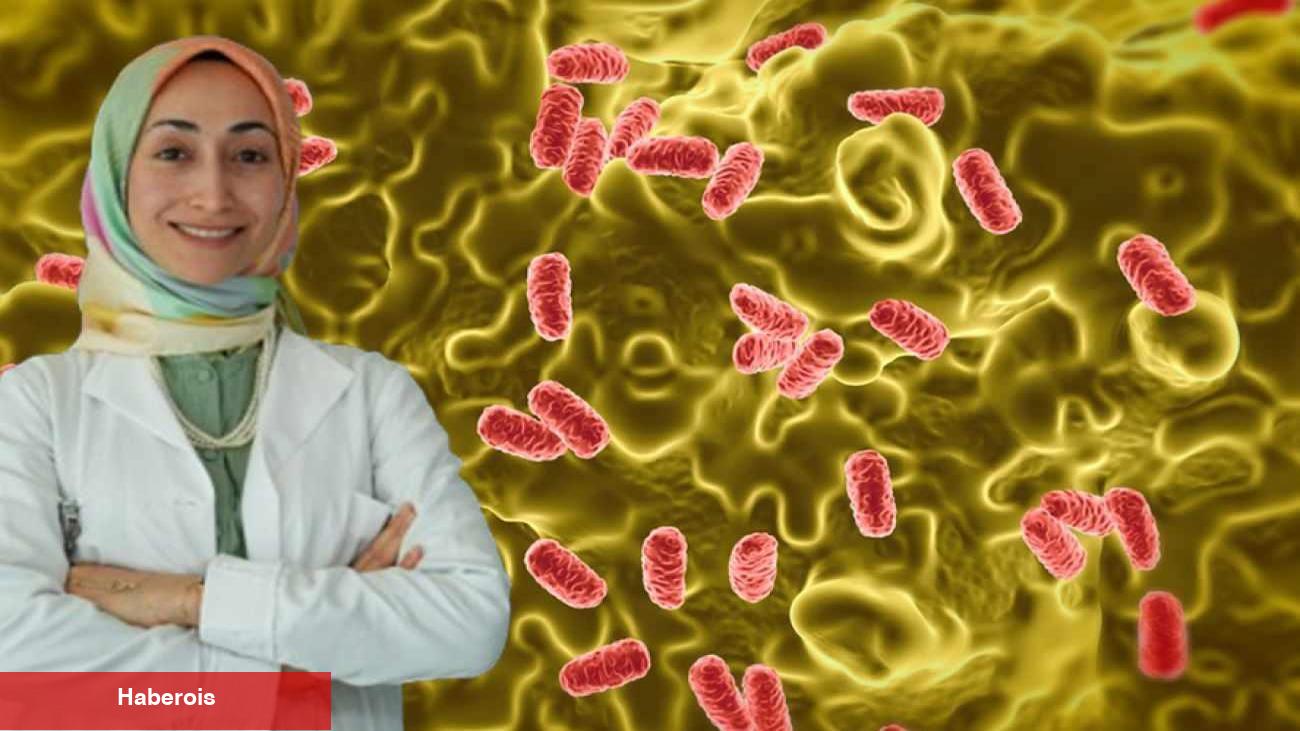 Yaz aylarında besin zehirlenmelerine dikkat: Salmonella sessizce yayılıyor